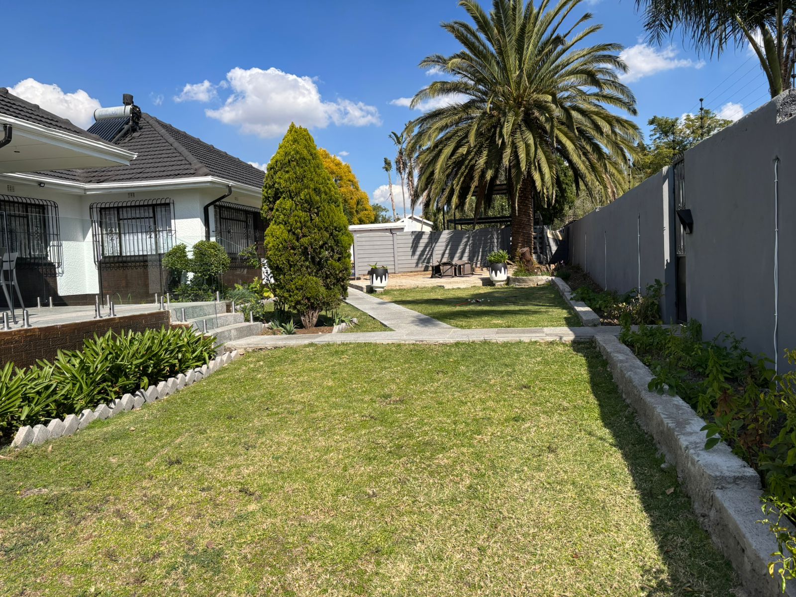 Side garden with lawn, walkway, and large palm tree